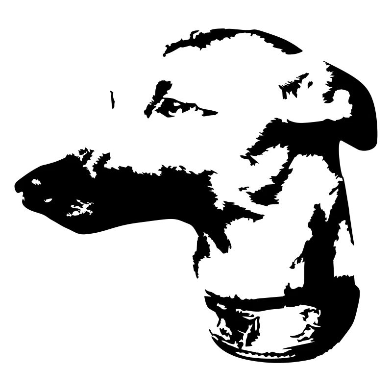 Whippet head