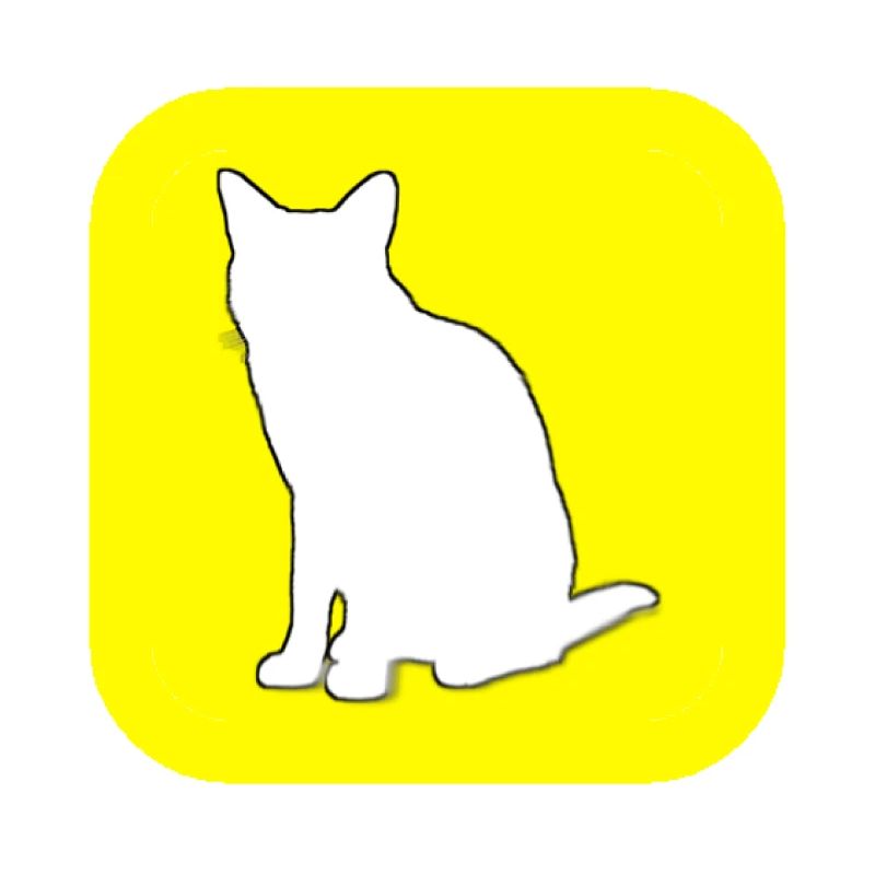 SnapChat (te) (French pun)