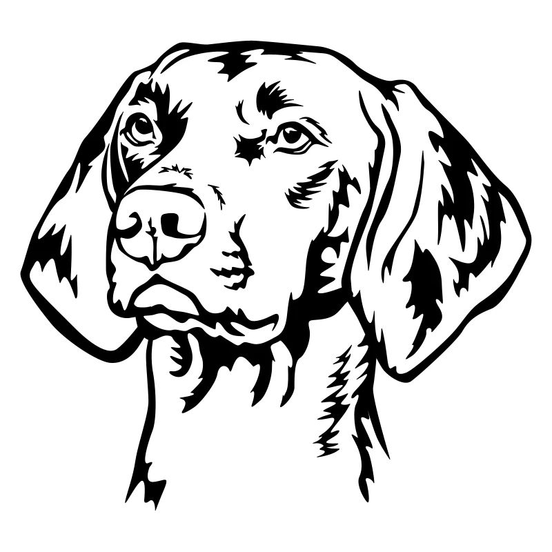 Tête de Magyar Vizsla
