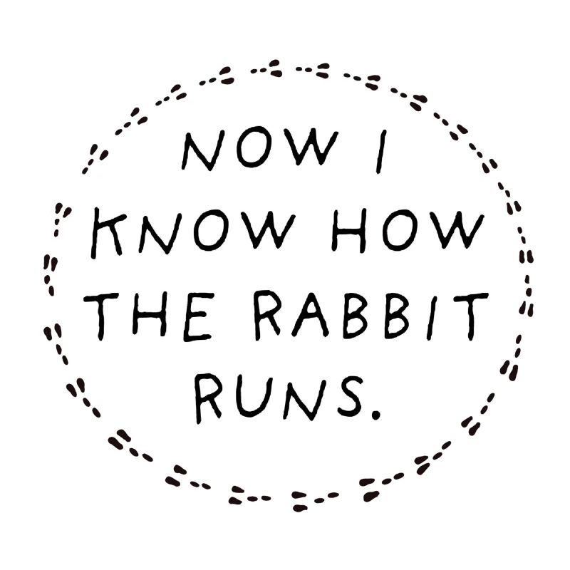 Now I know how the rabbit runs.