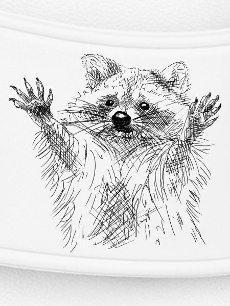 Waschbär