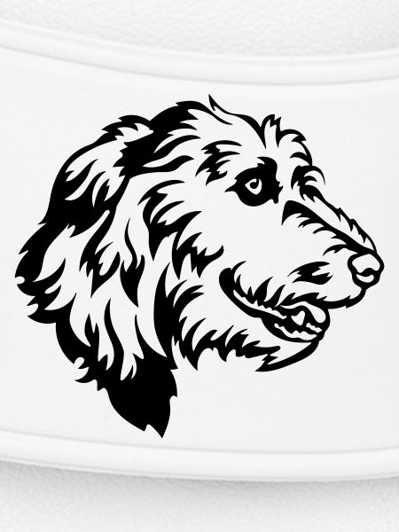Irish Wolfhound Head