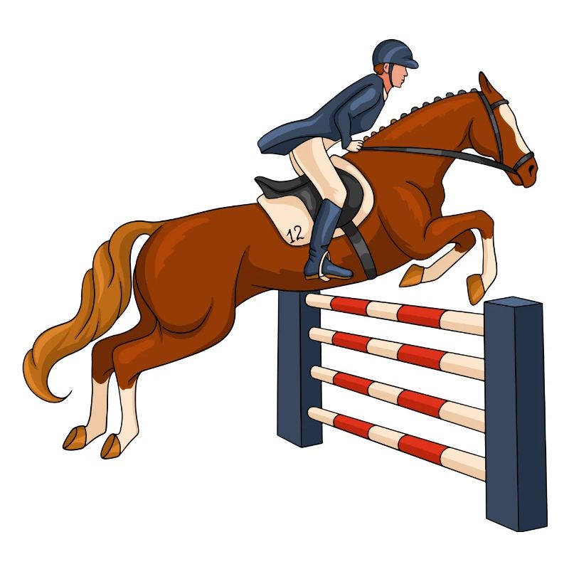 cheval, cavalier, équitation