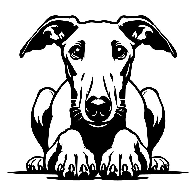 Whippet Kopf mit Pfoten