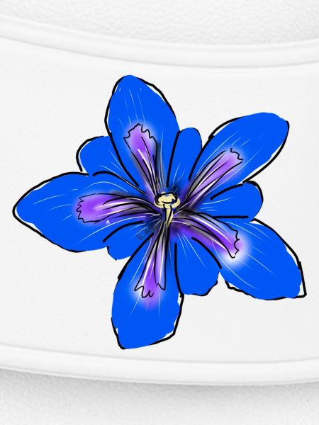 Gentian, Flower