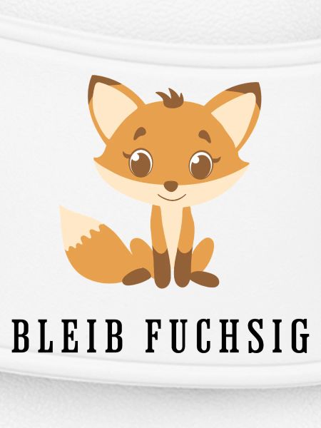 Cuddly fox friend
