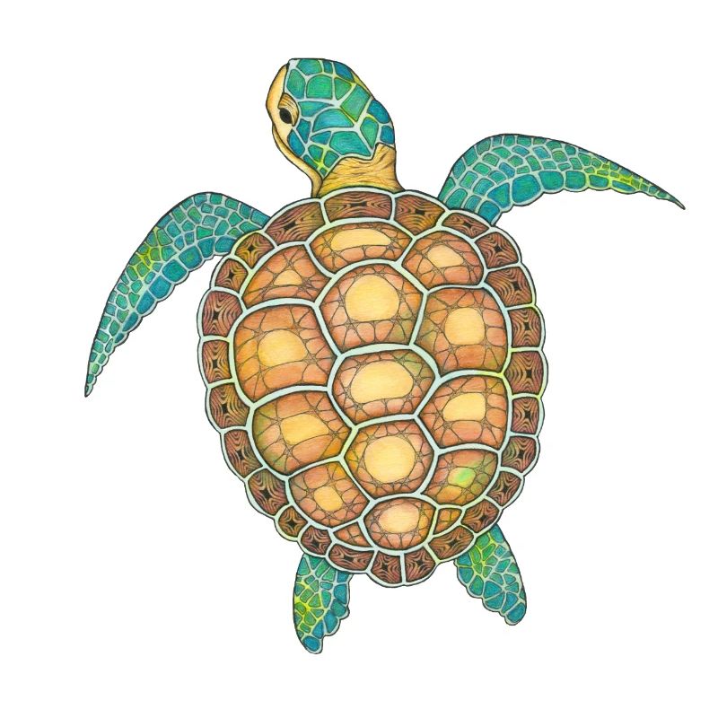 Tortue de mer dessinée à la main