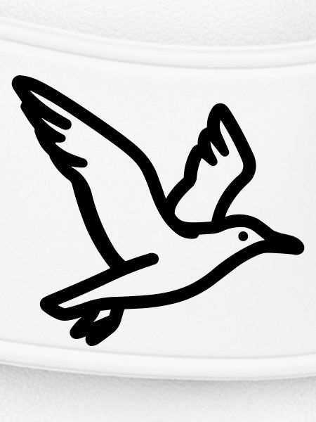 Seagull