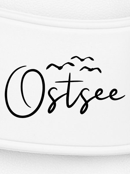 Ostsee Möwen