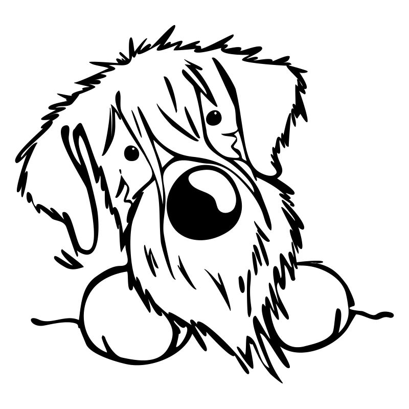 Neugieriger Schnauzer