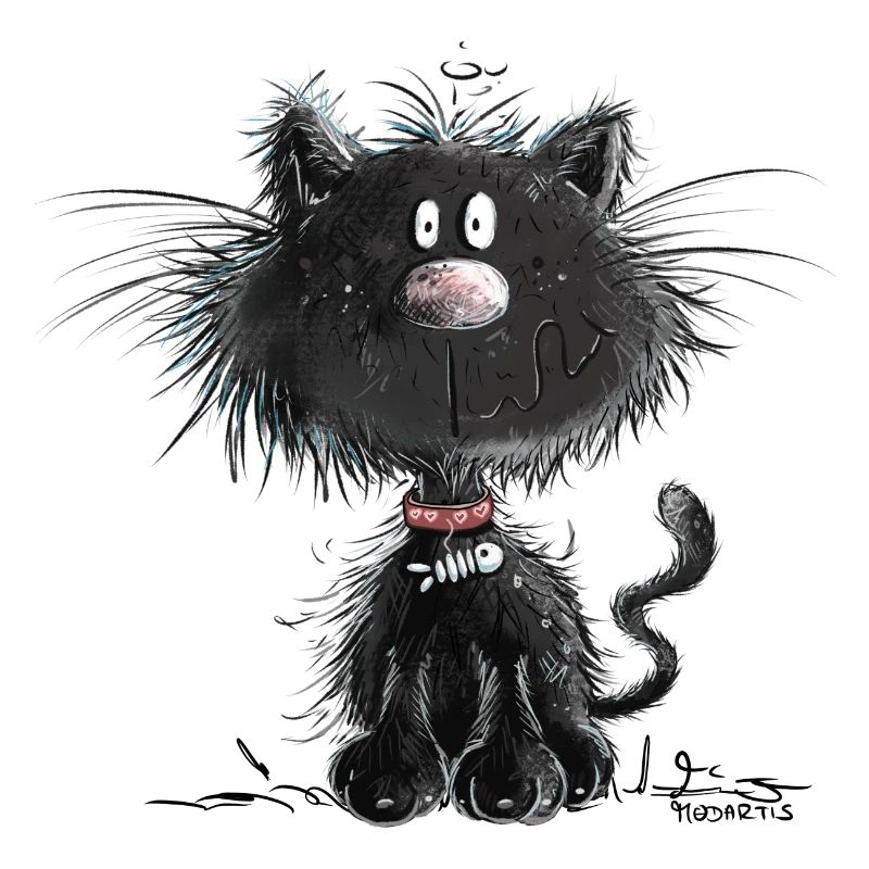 Drollige Schwarze Katze