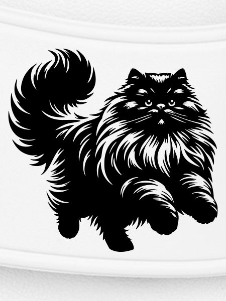 Persian Cat - Persian