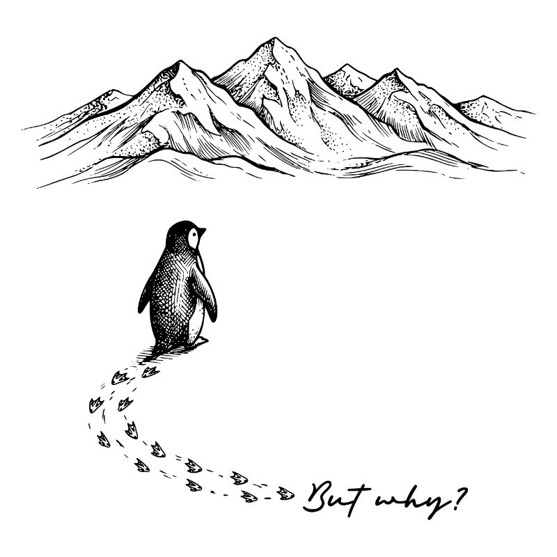 But why? Penguin Meme Footprints Doodle Doodle