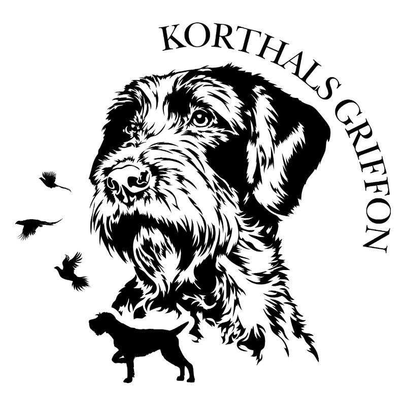 Korthals Griffon Portrait Hunde Jagdhunde Wilsigns