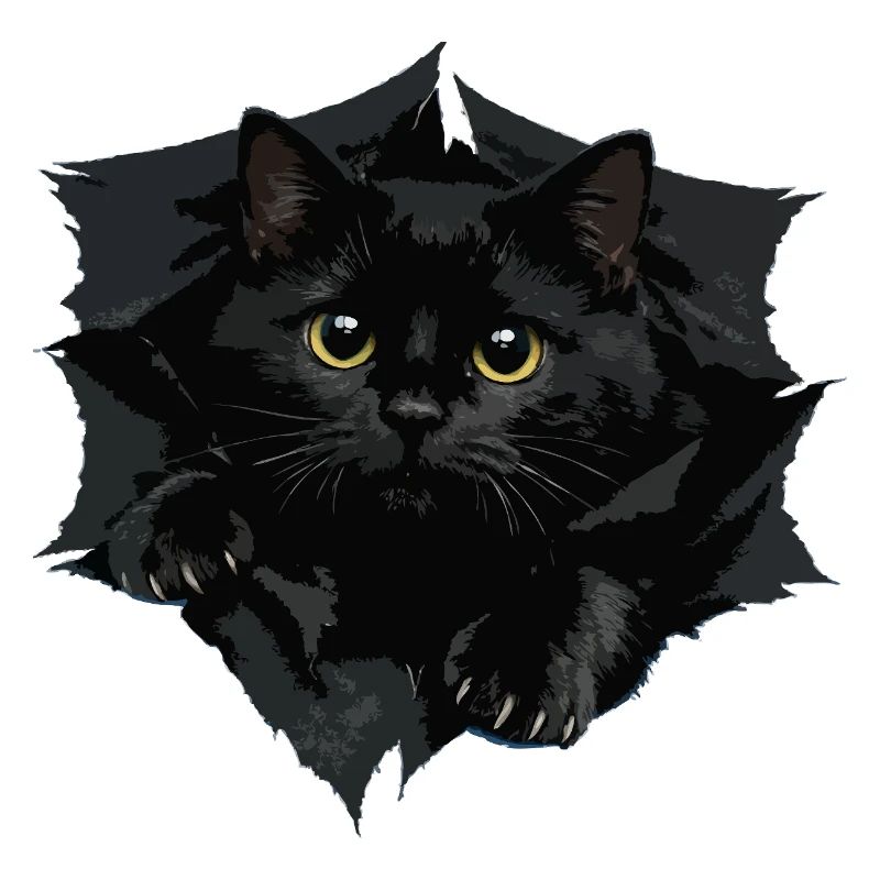 Chat noir par Tranchant