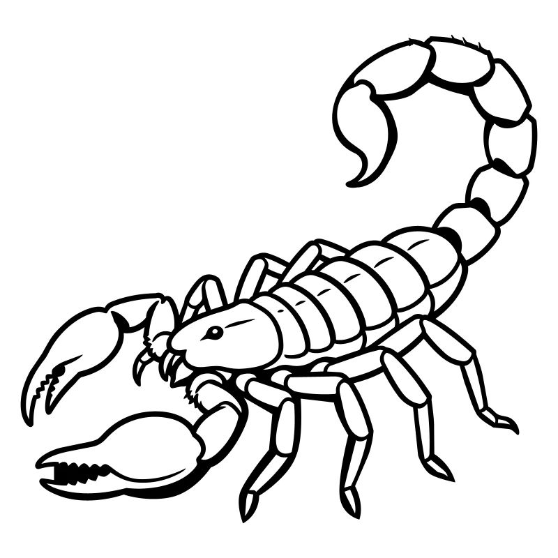 Signe du Scorpion