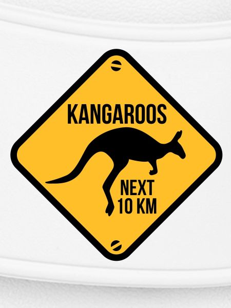 kangaroo - australia