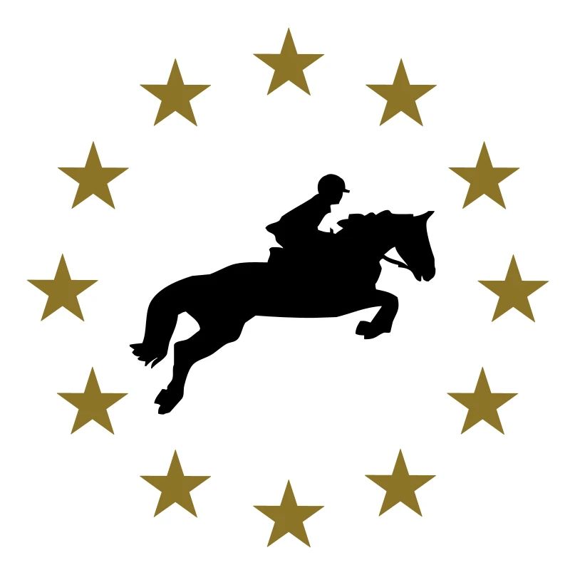 Springen Pferd & Sternen