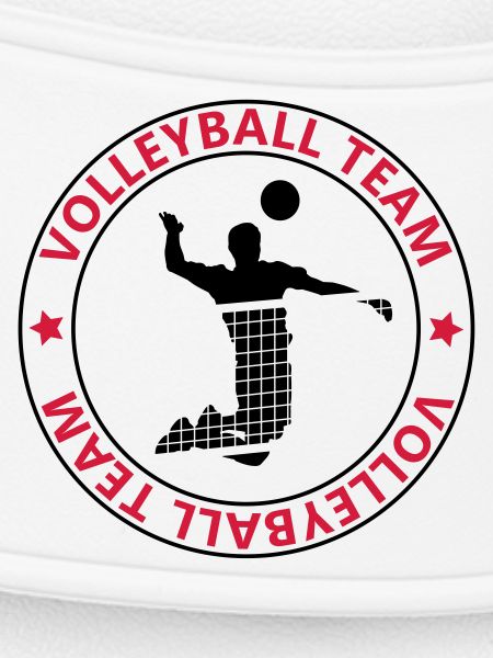 Volleyball team