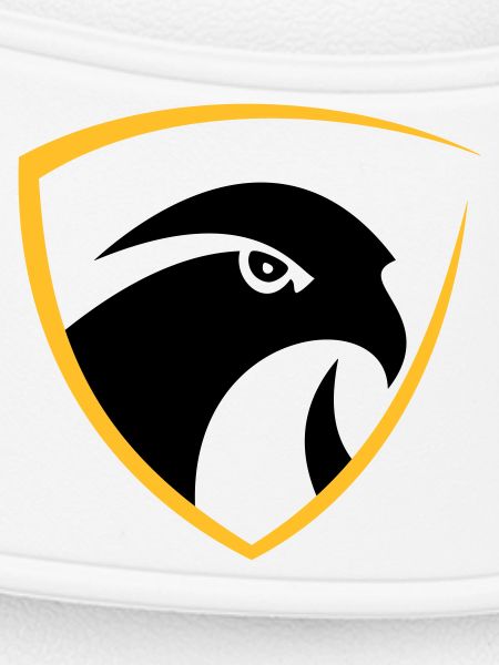 Falcon logo