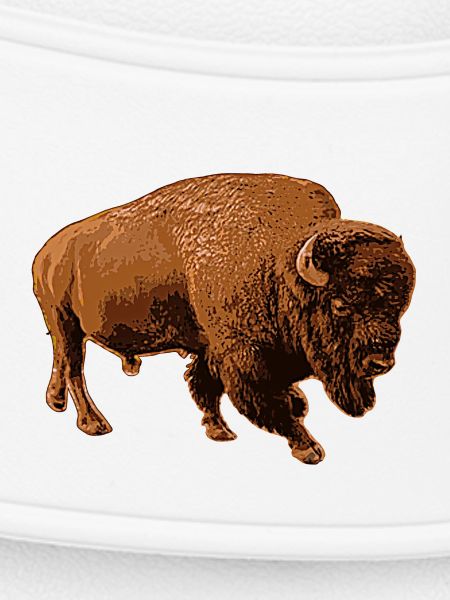bison