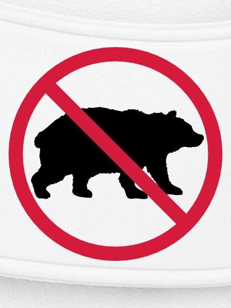 Bear Forbidden Shield