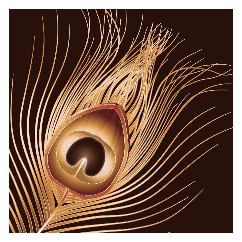 hand-drawn gold-colored peacock feather