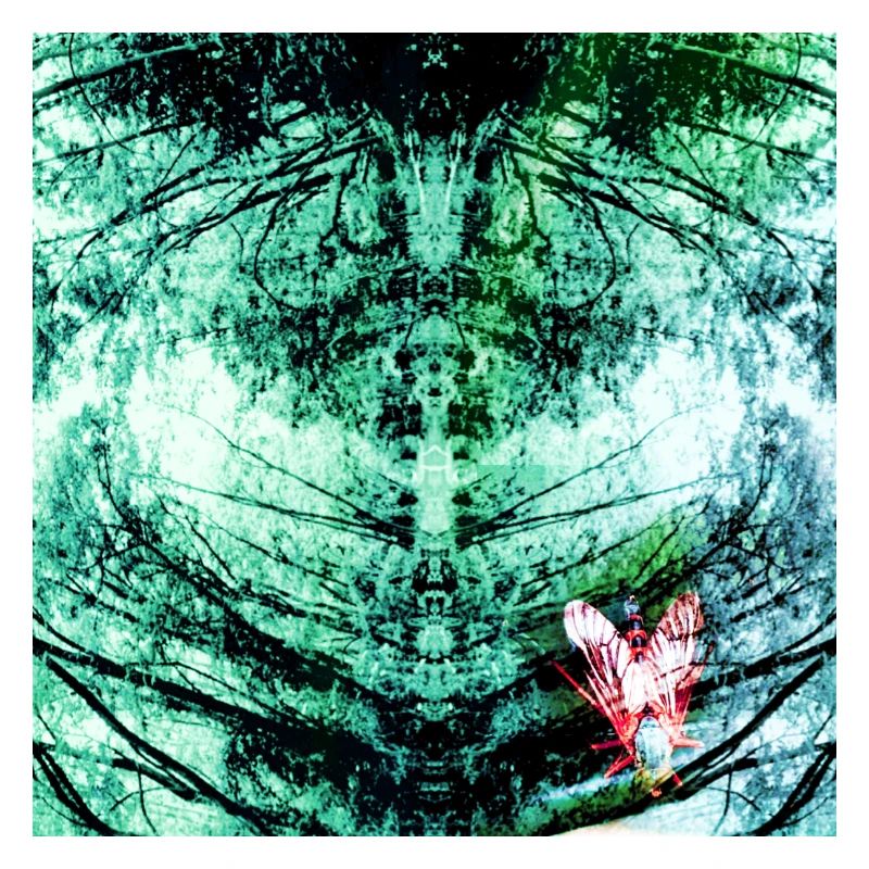 Forest Reflection Teal Butterfly