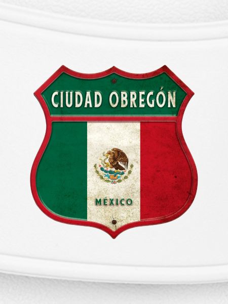 Écusson Ciudad Obregon Mexico