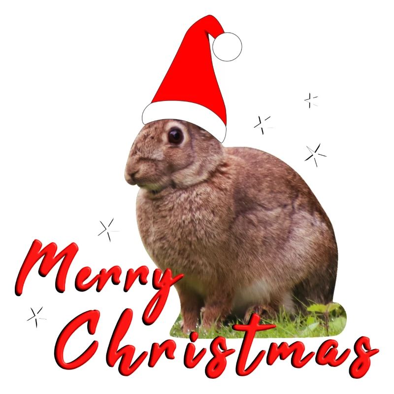 Joyeux Noël Lapin
