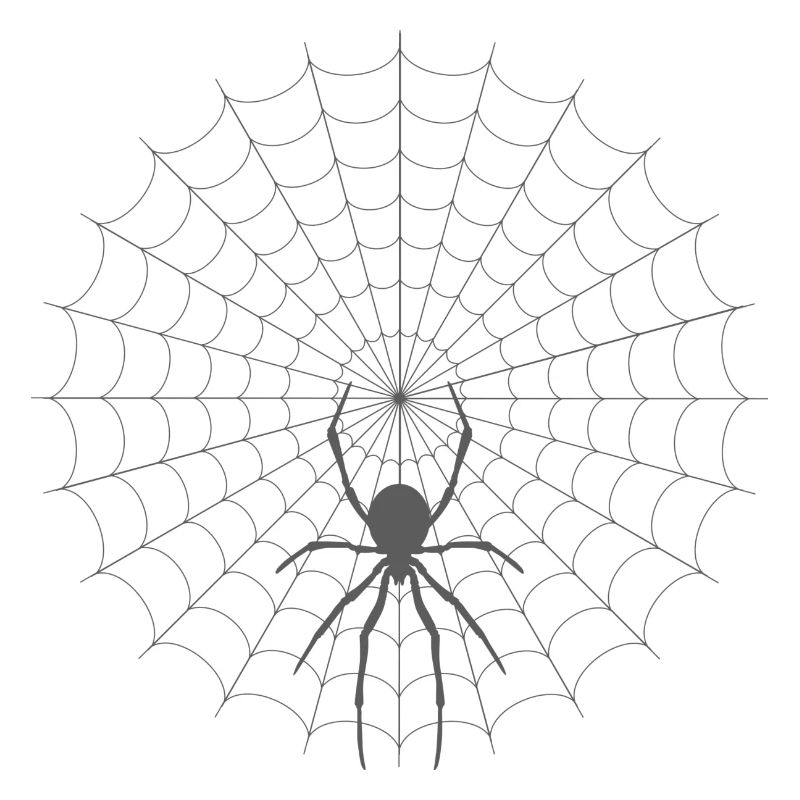 Spider Web Silhouette