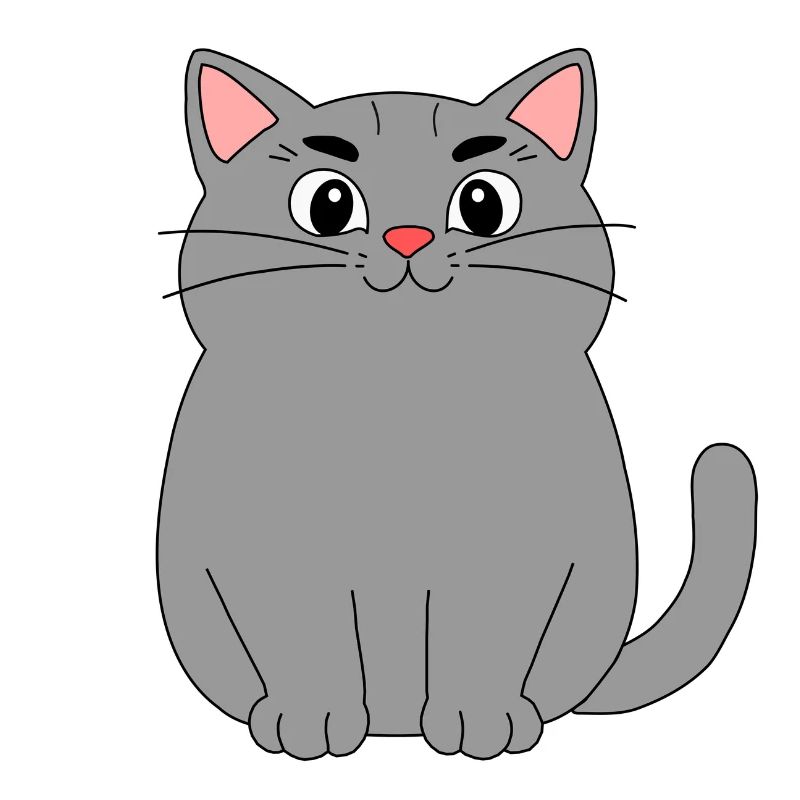 Graue Katze