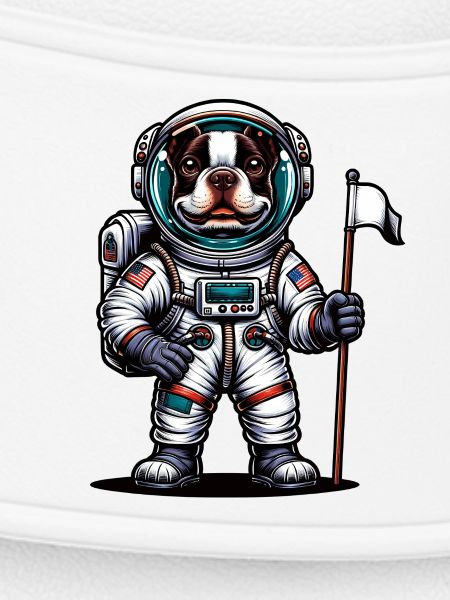 Bostie Astronaute