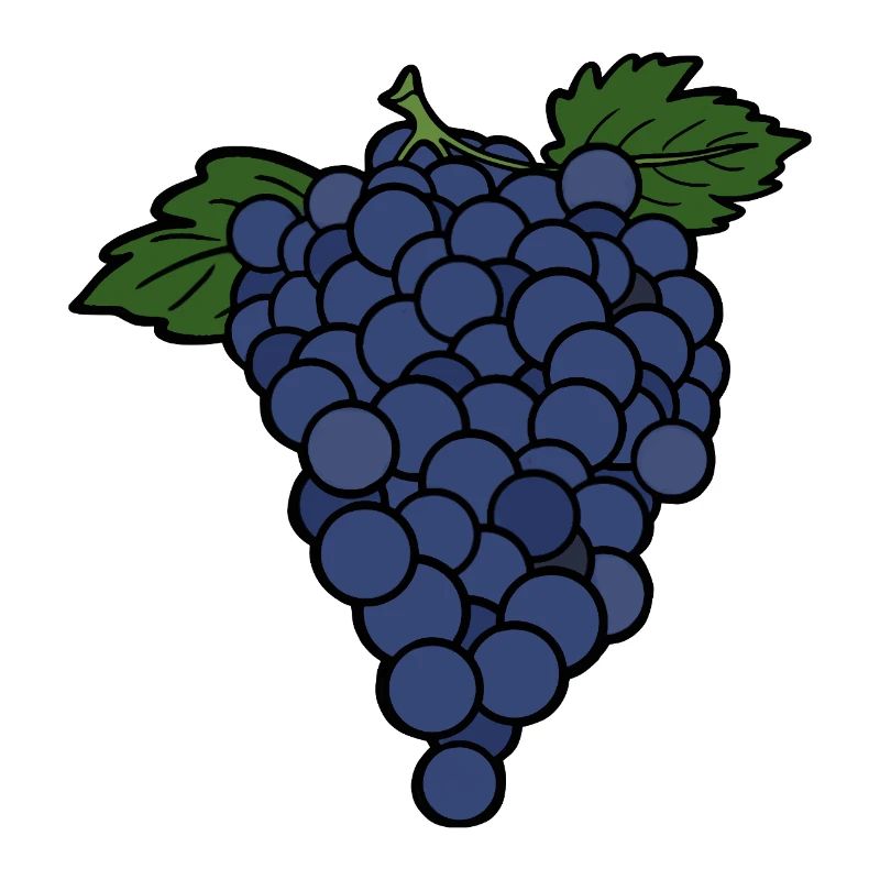 Delicious Fruit Grape