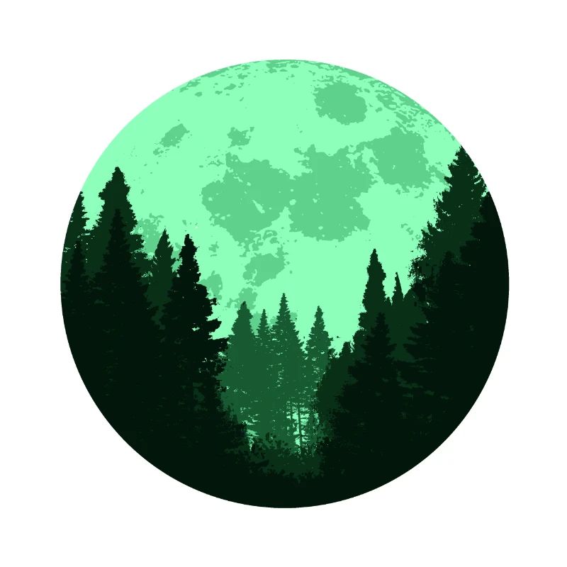Dans le silence de la nuit, la forêt parle.