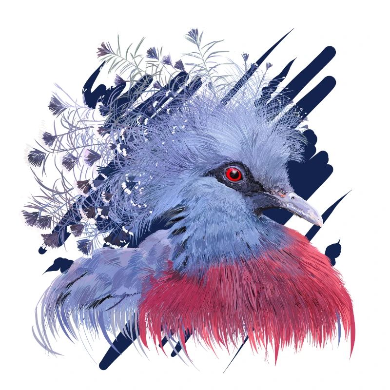 Crowned Pigeon