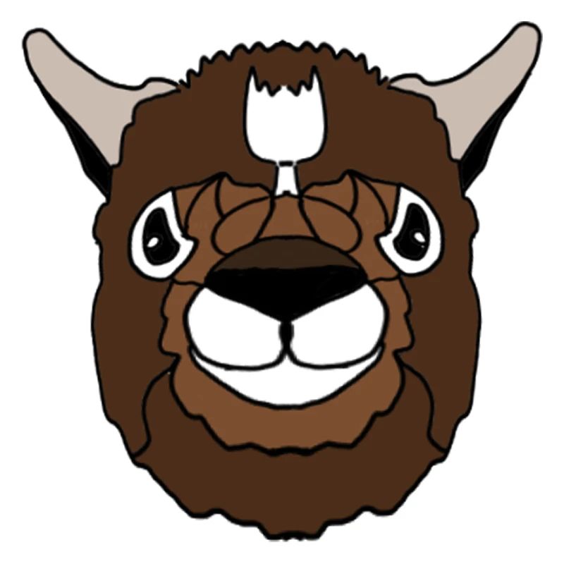 Lama Kopf