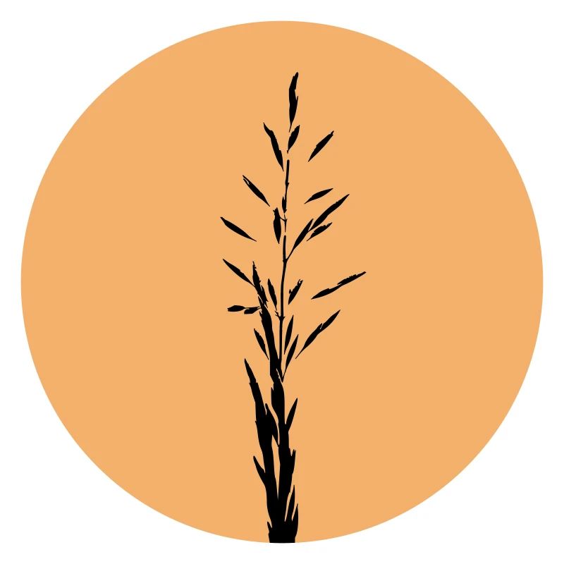 Silhouette dans Sunset Circle