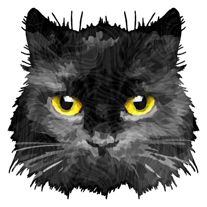 chat