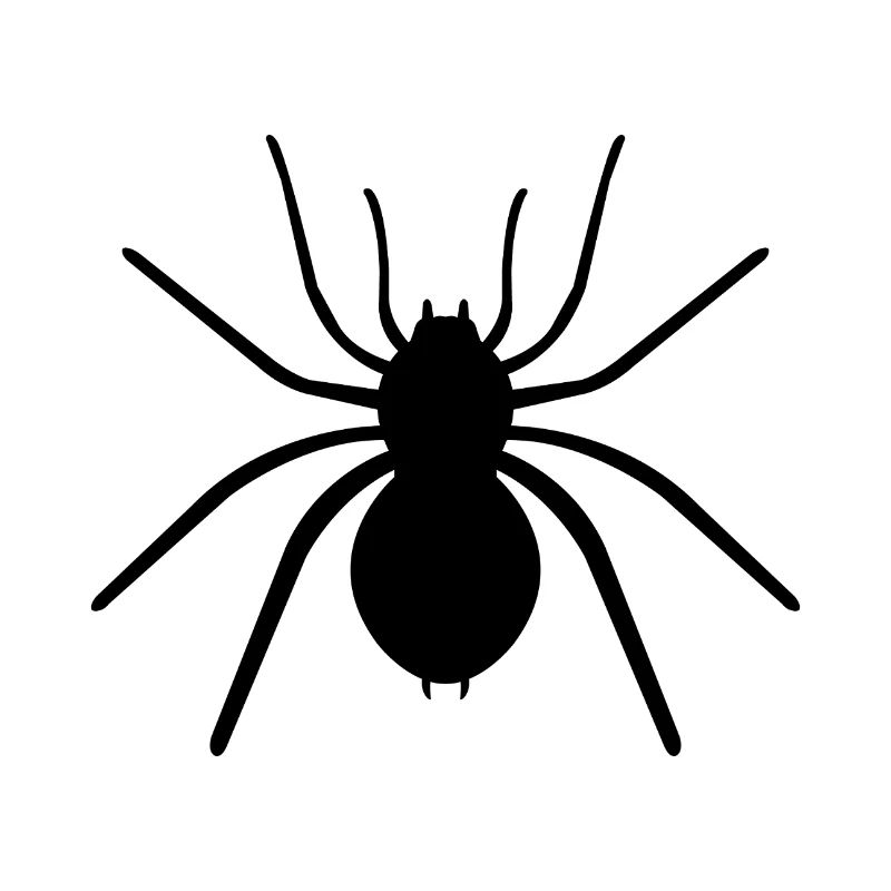 spider