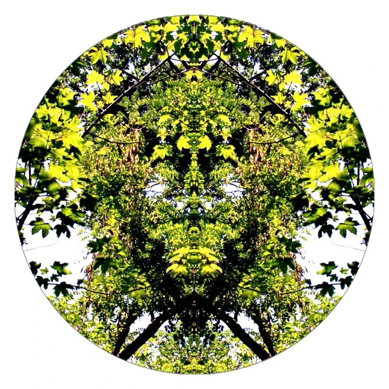 Tree Nature Creature