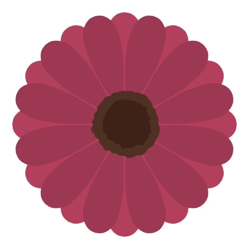 Motif de floraison de gerbère rose