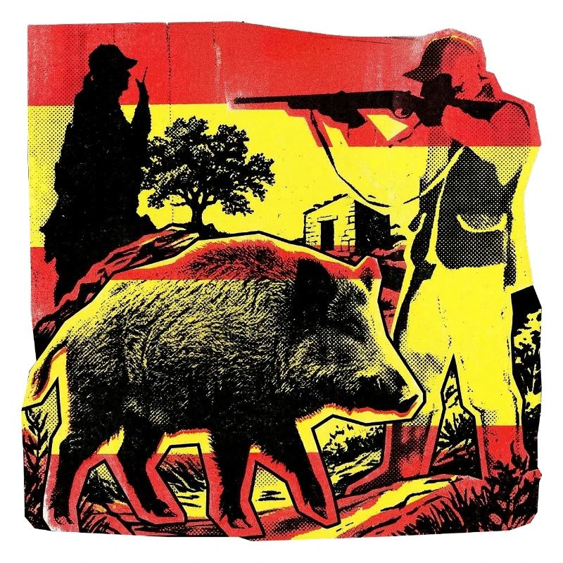 Hunter Spain Flag Spanish Boar