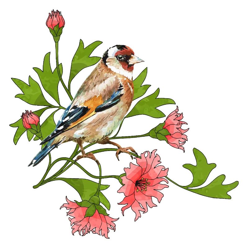 Bunter Vogel