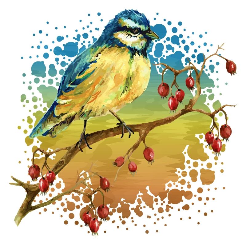 Colorful bird