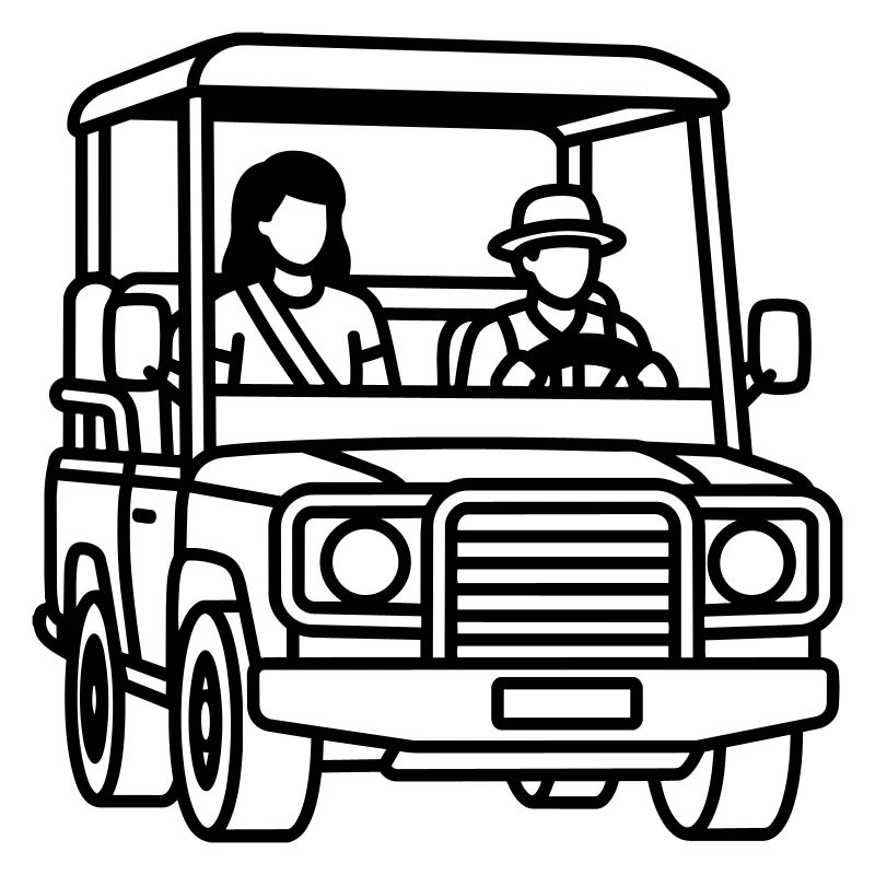 safari