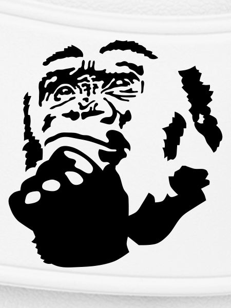 monkey