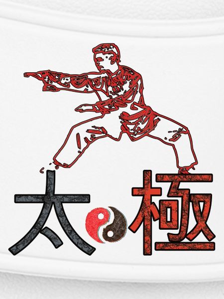 Taichi Fighter
