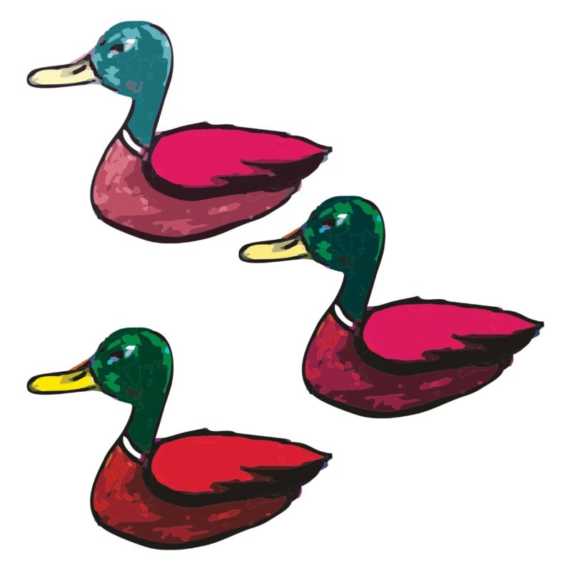 Enten dreierpack