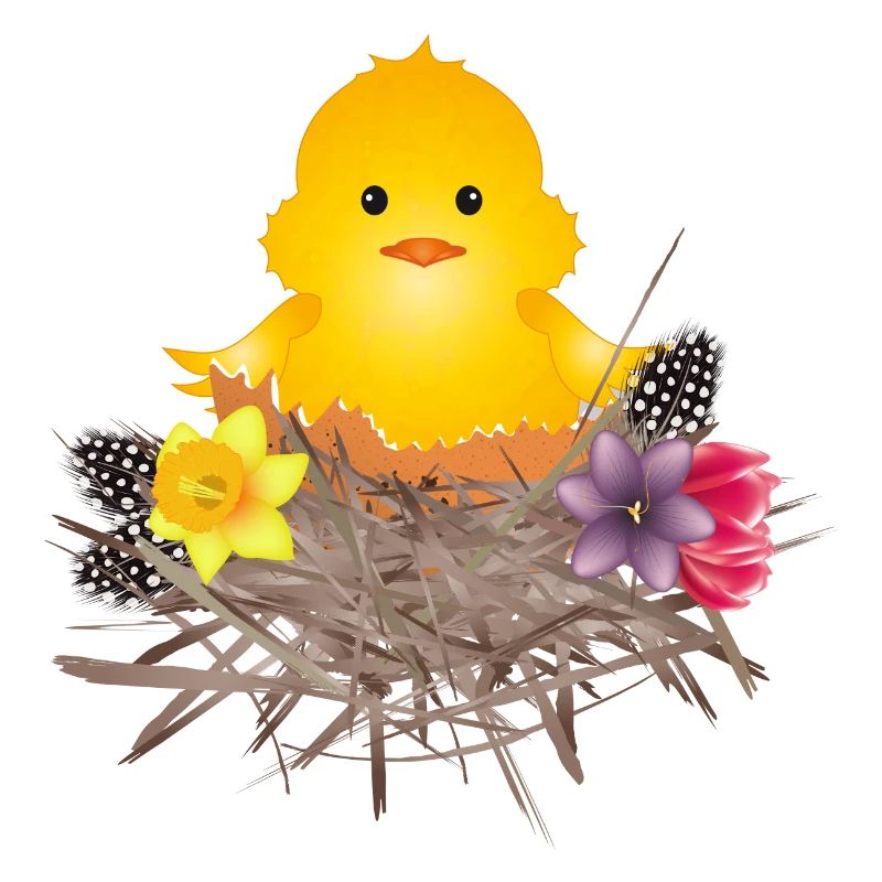 newly hatched chick in eggshell in nest